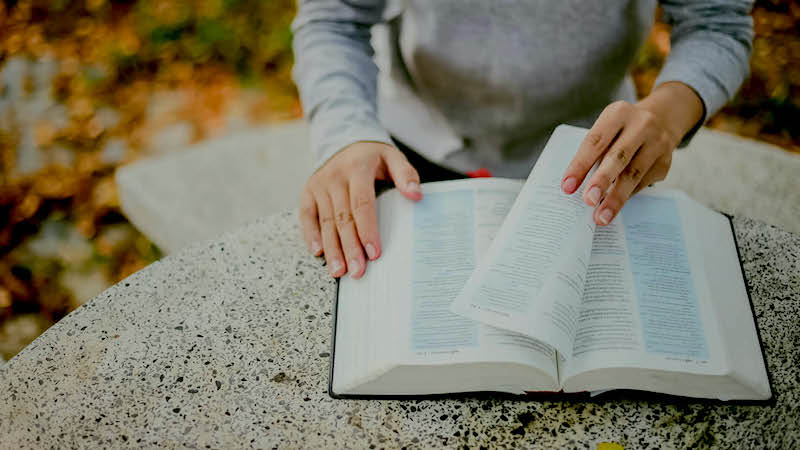 The long-promised saviour The long-promised saviour